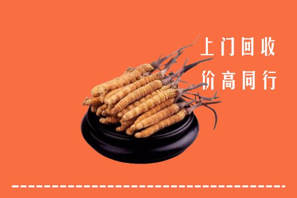 高价求购：忻府区回收散虫草