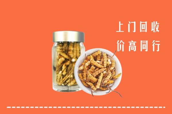 忻府区回收冬虫夏草